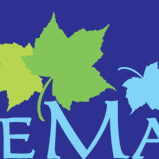 logo - Blue Maples